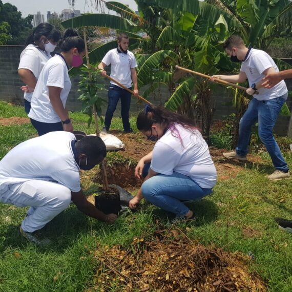 Jovens Aprendizes do projeto petrobras participam de plantação de árvores